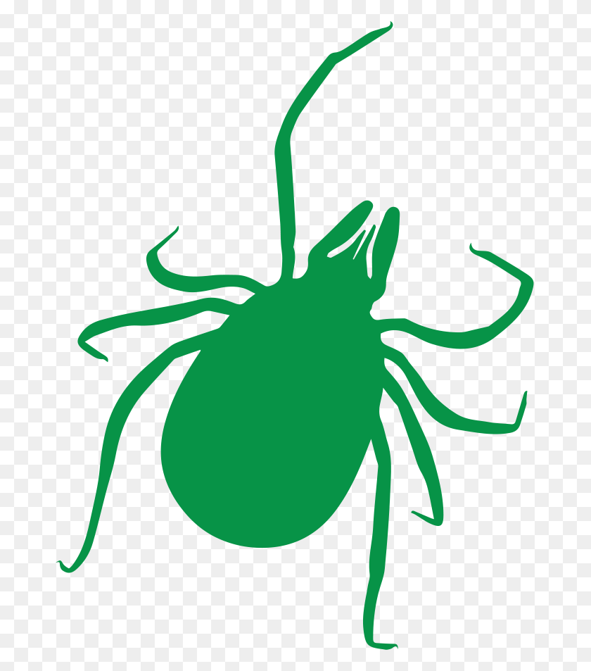 681x893 Cedarcide Tick Transparent Background Tick HD PNG Download