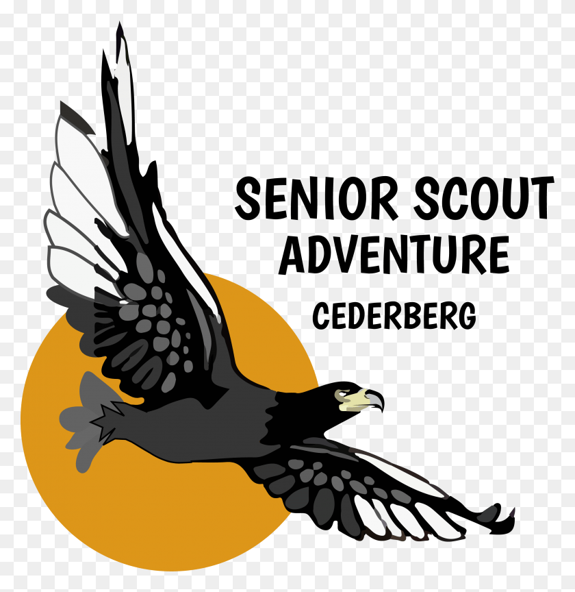 2902x2993 Cederberg Senior Scout Adventure, Águila, Pájaro, Animal Hd Png