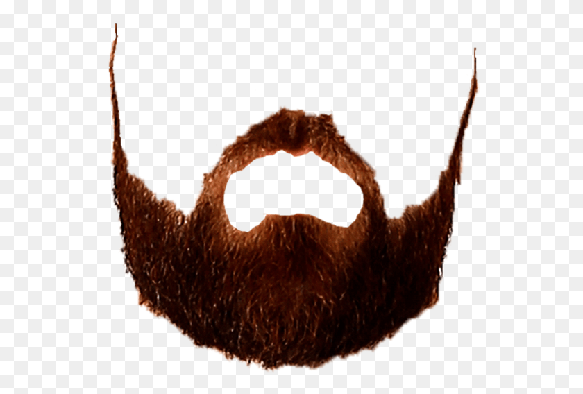 542x508 Celebrate By Saving His Beard As A And Tweet Us Illustration, Animal, Dinosaur, Reptile HD PNG Download