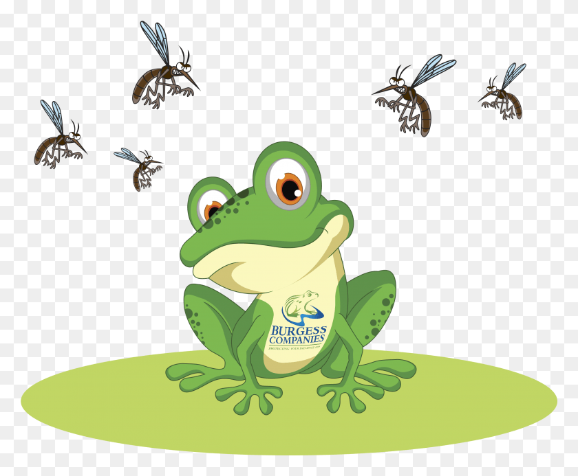 2978x2418 Celebrate Independence From Mosquitoes This 4th Of Cartoon Green Frog, Animal, Amphibian, Wildlife HD PNG Download