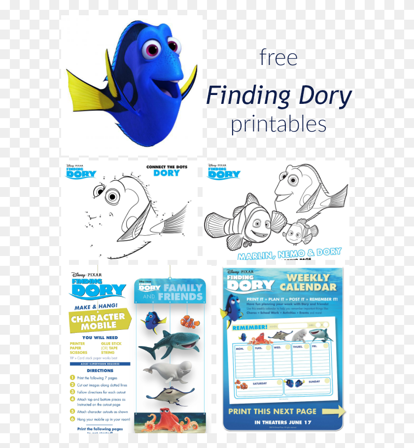 593x850 Celebrate The New Movie With These Fun Finding Dory Finding Dory Worksheet, Bird, Animal, Text HD PNG Download
