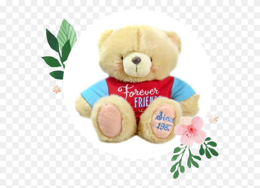 572x548 Celebrating 30 Years Of Friendship Precious Thots Graduation Bear, Teddy Bear, Toy, Plush HD PNG Download