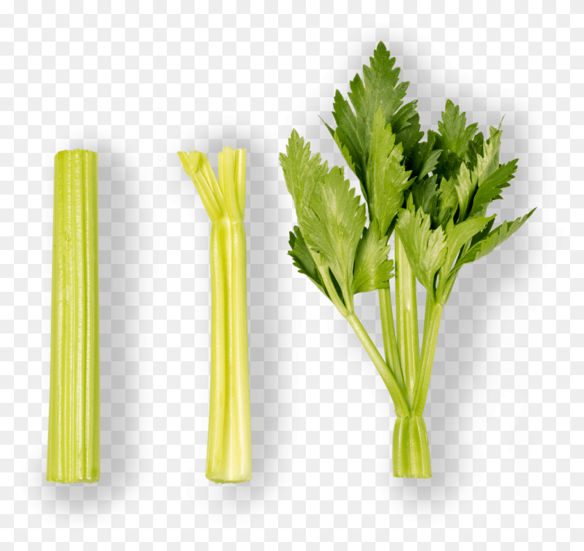 1302x1224 Celery Chard, Plant, Produce, Food HD PNG Download