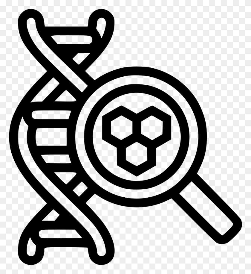 894x980 Cell Svg Icon Free Comments Dna Magnifying Glass Icon, Dynamite, Bomb, Weapon HD PNG Download
