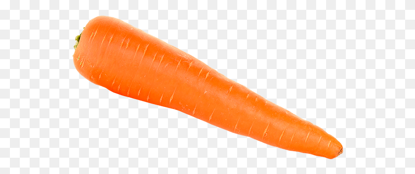550x293 Cenoura, Plant, Carrot, Vegetable HD PNG Download