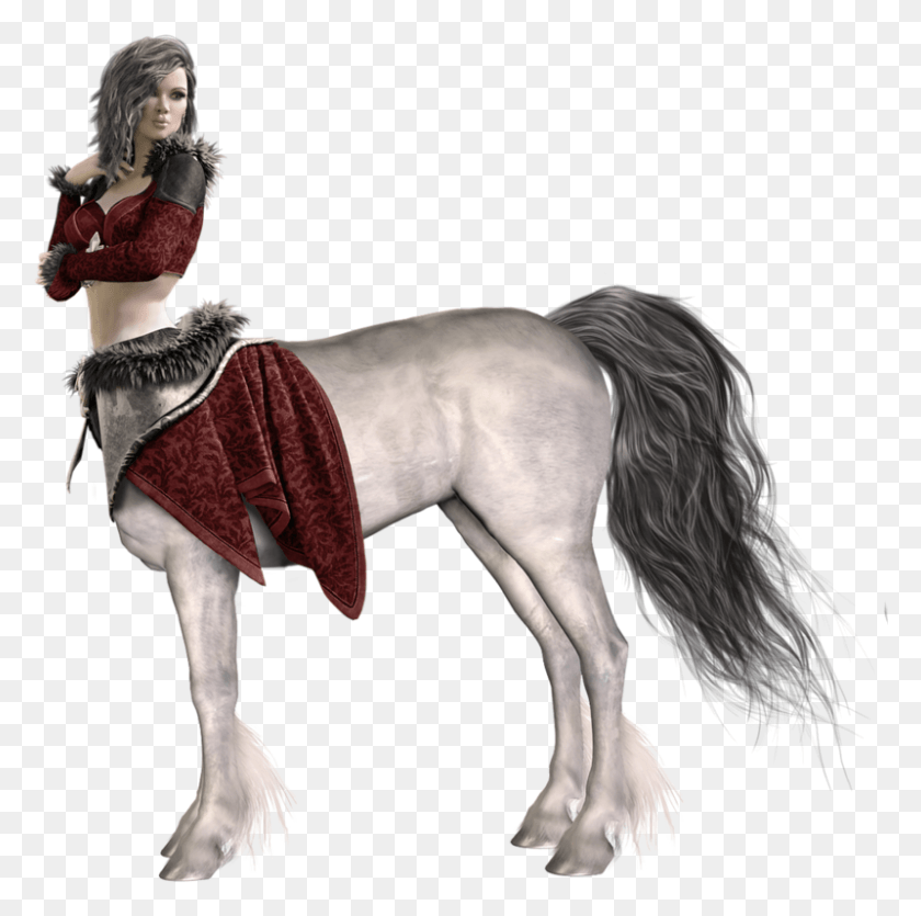800x795 Centaur Transparent Background, Horse, Mammal, Animal HD PNG Download