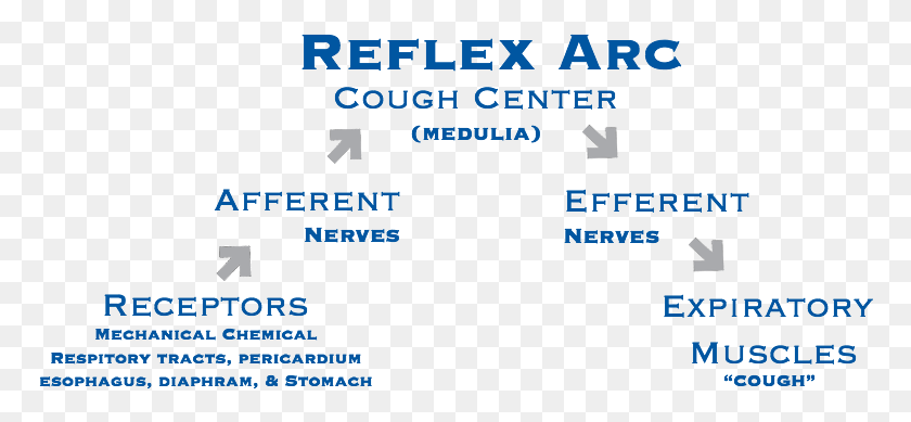 770x329 Center For Cough Reflex Arc Cough Receptor, Text, Paper, Number HD PNG Download