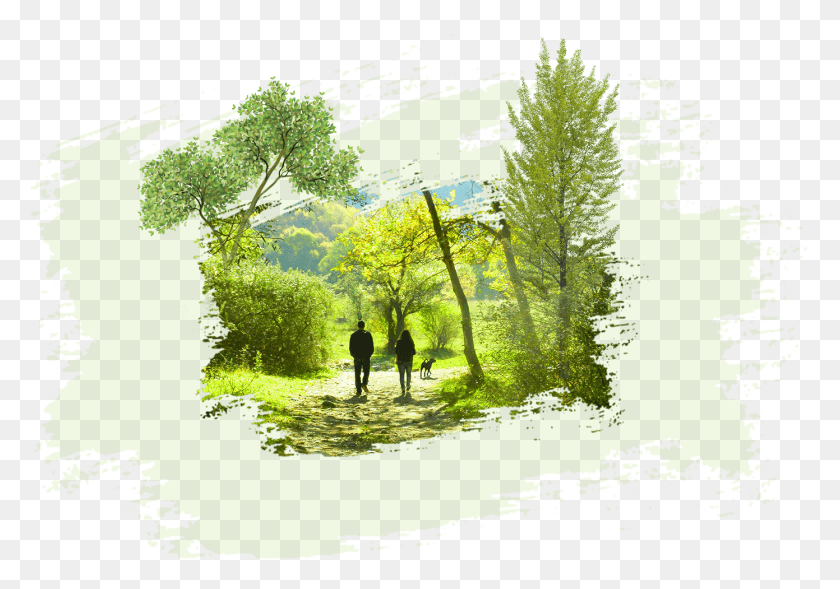 1391x944 Central Park Transparent Background Painting, Person, Outdoors, Green HD PNG Download
