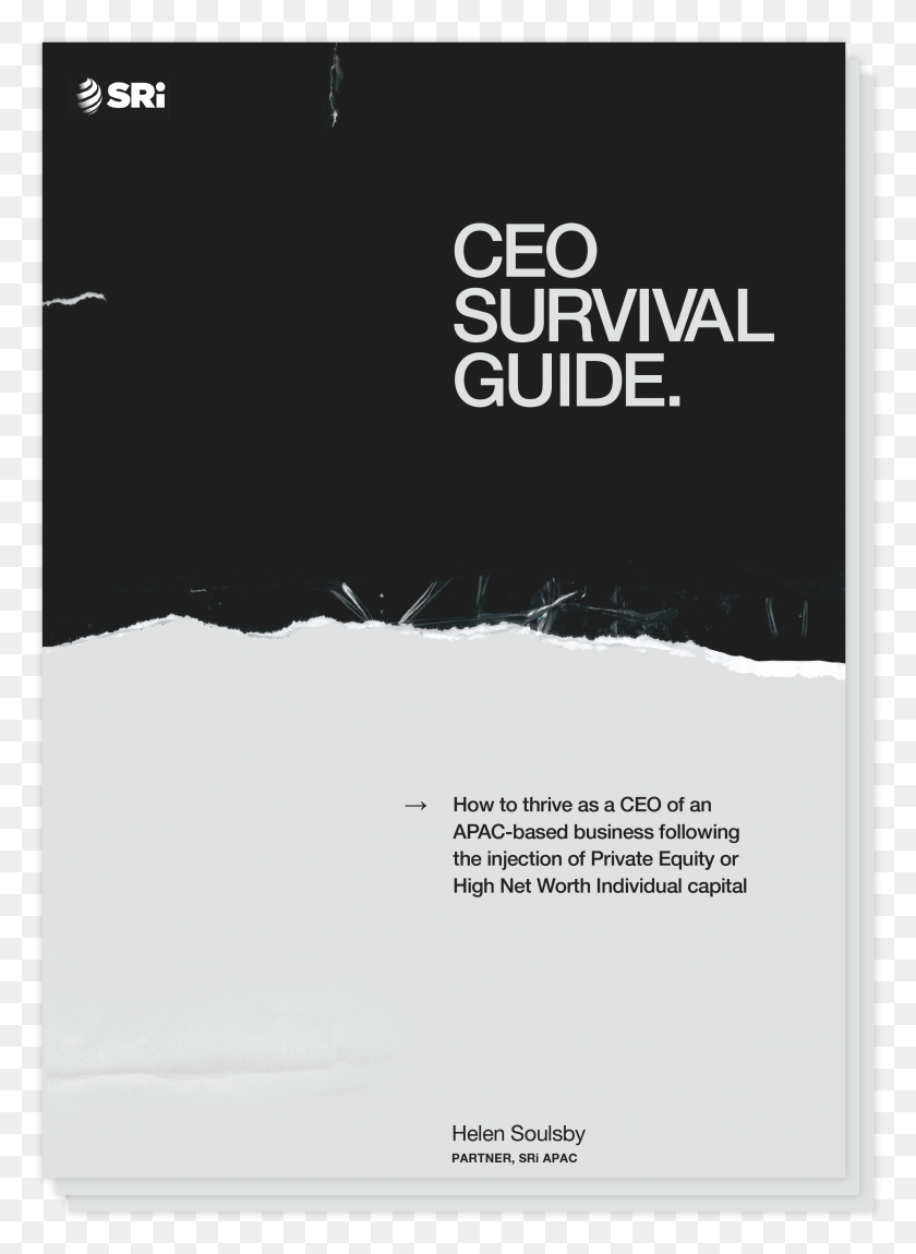 2471x3454 Ceo Survival Guide Tiff Lacey, Poster, Advertisement, Flyer Descargar Hd Png