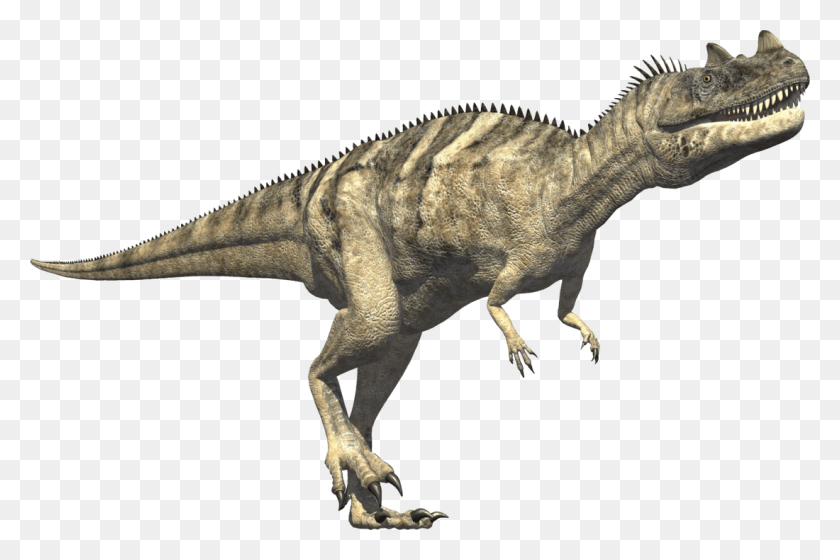 1100x706 Ceratosaurus Jurassic Period, Dinosaur, Reptile, Animal HD PNG Download