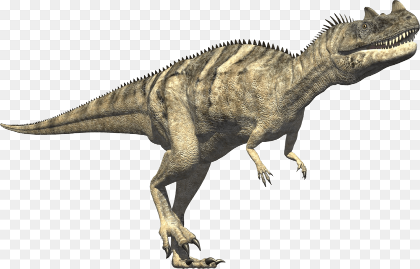 Ceratosaurus Jurassic Period, Animal, Dinosaur, Reptile, T-rex Transparent PNG