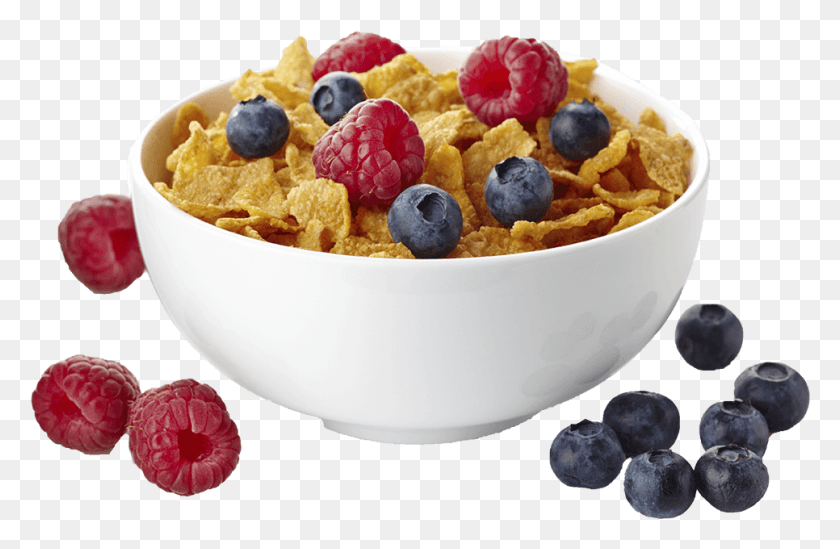 966x606 Cereal Photos Special K Cereal Bowl, Plant, Blueberry, Fruit HD PNG Download