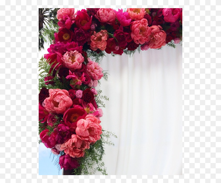 547x636 Церемония Арка Цветы Садовые Розы, Растение, Роза, Цветок Png Скачать