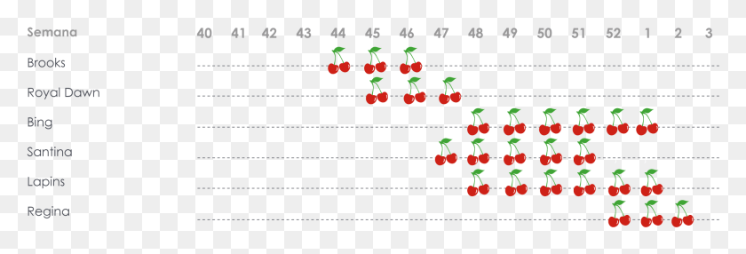 1888x548 Cerezas Variedad Strawberry, Plant, Number, Symbol HD PNG Download