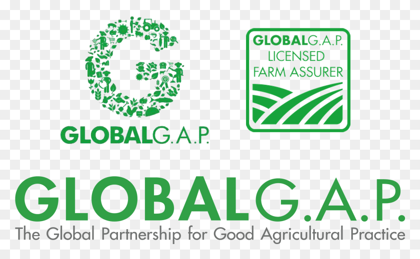 1980x1167 Certificazioni Global Gap Logo Global Gap Certificate Logo, Text, Alphabet, Symbol HD PNG Download