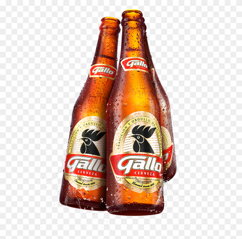 588x771 Cerveza Gallo, Beer, Alcohol, Beverage HD PNG Download