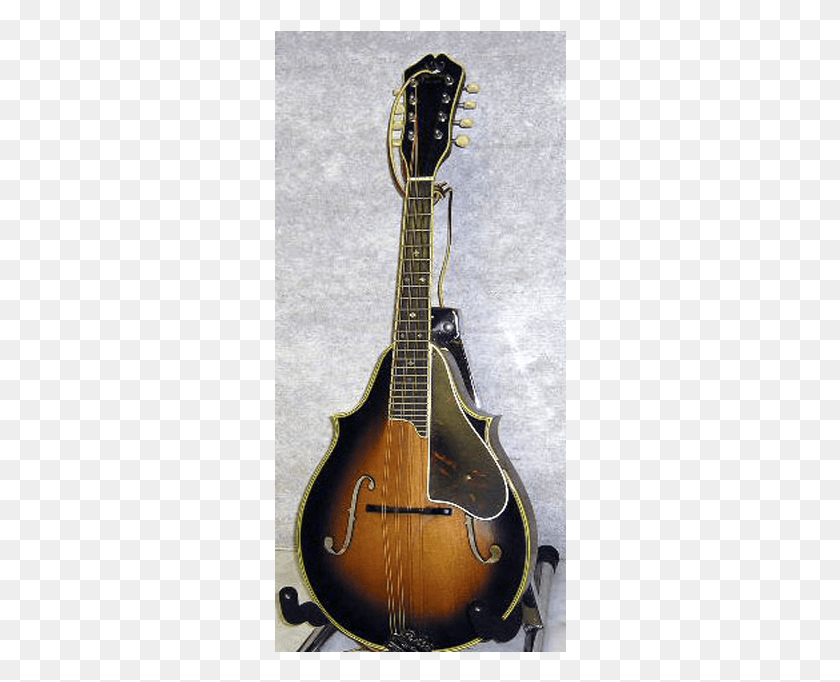 292x622 Cf Martin 2 30 Mandolin Violone, Musical Instrument, Lute, Scissors HD PNG Download