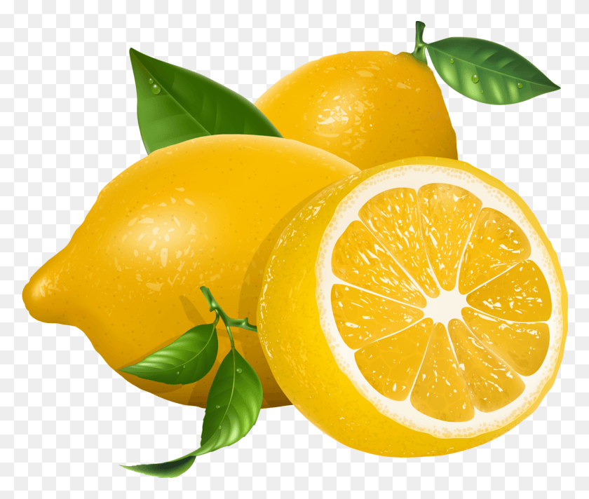 1280x1071 Лимон, Цитрусовые, Фрукты, Растение Hd Png Скачать