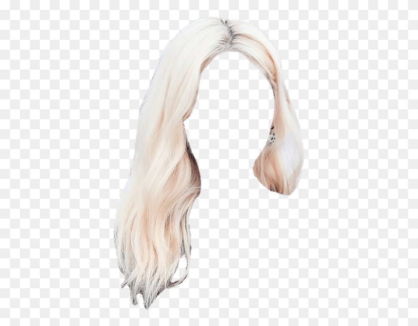 387x596 Chaemomo Hair Lace Wig, Clothing, Apparel, Bird HD PNG Download