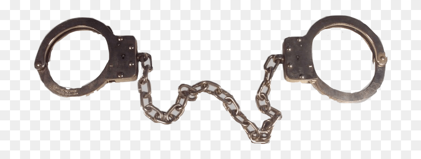 706x257 Chain, Hook, Animal, Skin HD PNG Download
