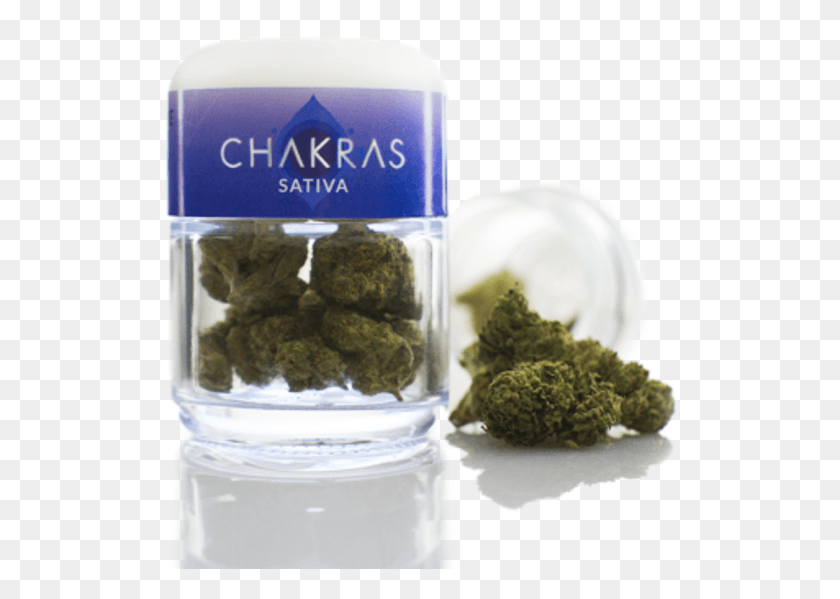 520x539 Chakras 8th Third Eye Greenly Wla Copy Tea, Plant, Vegetable, Food HD PNG Download