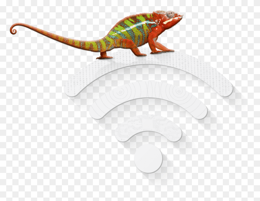 830x629 Chameleon 1 Common Chameleon, Iguana, Lizard, Reptile HD PNG Download