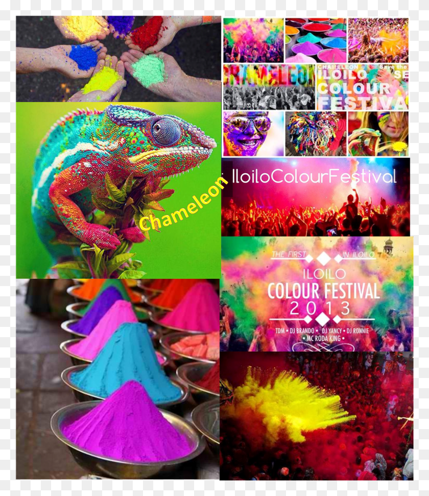 1142x1335 Chameleon Iloilo Festival Of Colors Will Be The First Graphic Design, Collage, Poster, Advertisement HD PNG Download
