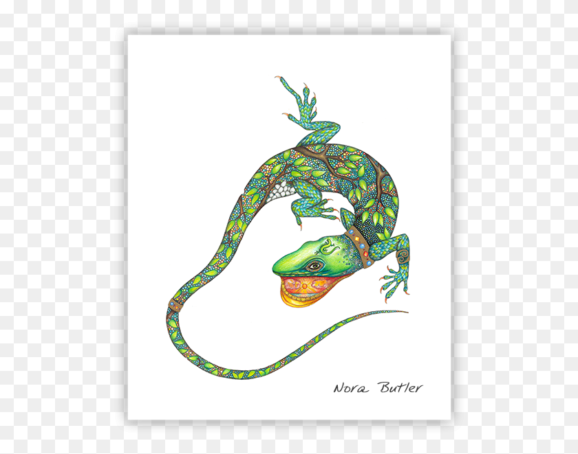 512x601 Chameleon Print By Nora Butler Illustration, Animal, Snake HD PNG Download