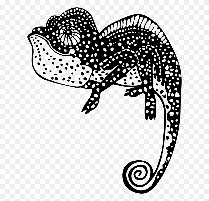 620x749 Chameleons Espio The Chameleon Chameleon Chameleon Chameleon Logo Silhouette, Gray, World Of Warcraft HD PNG Download
