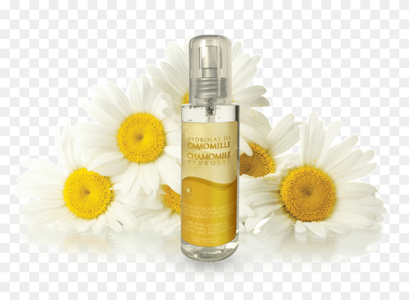 997x712 Chamomile Transparent Images Camomile, Bottle, Daisy, Flower HD PNG Download