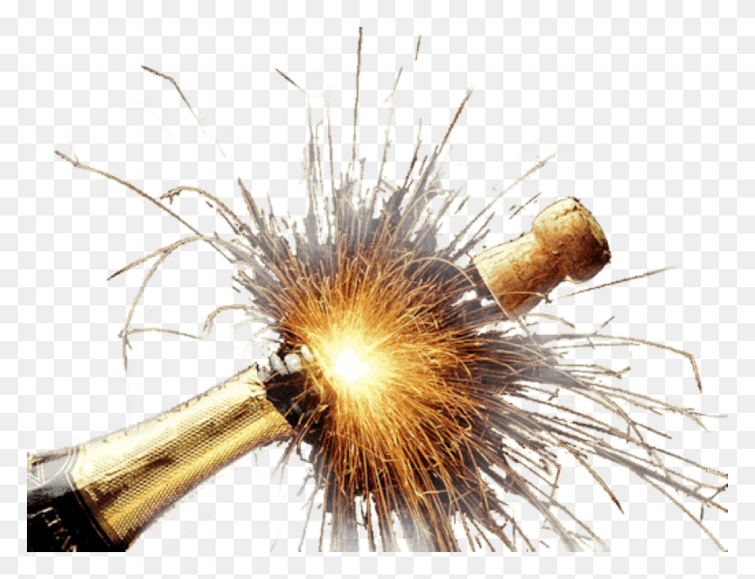 850x638 Champagne Explosion, Plant, Cork, Tree HD PNG Download