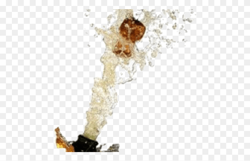 482x481 Champagne Transparent Images Crack Open The Champagne, Hook HD PNG Download