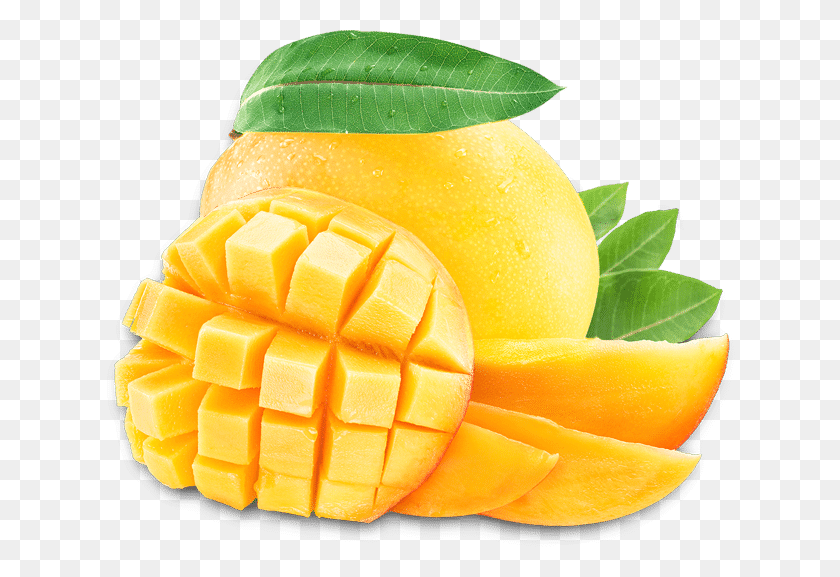 630x517 Champion Mango, Plant, Fruit, Food HD PNG Download