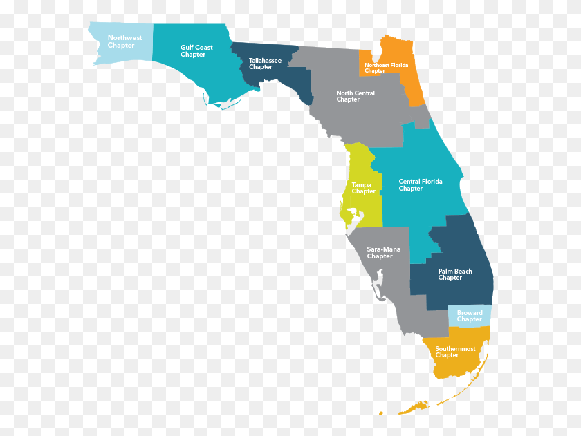 589x571 Descargar Png / Mapa Político De La Florida, Capítulo 2018, Diagrama, Atlas Hd Png