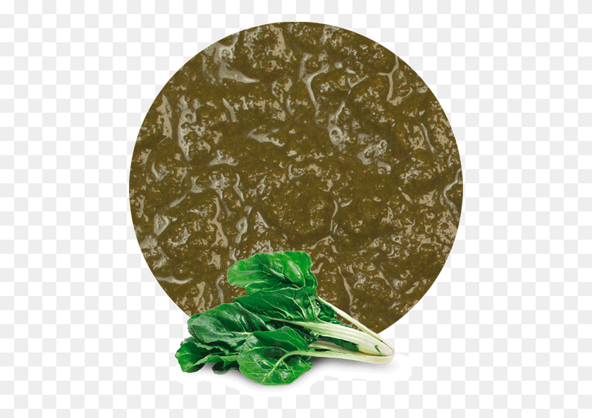475x533 Chard Puree Spinach, Plant, Vegetable, Food HD PNG Download