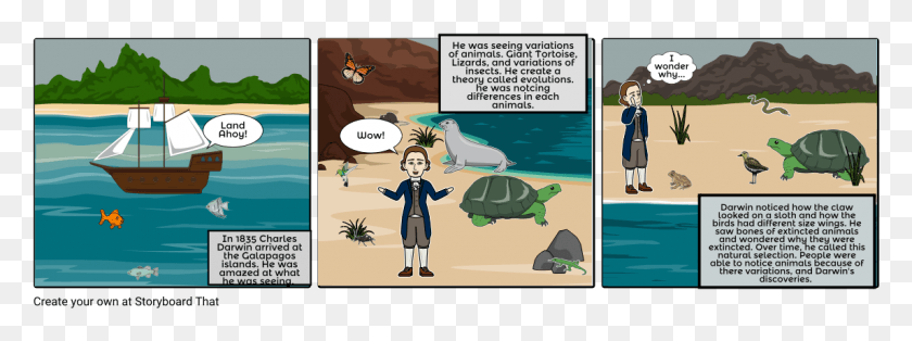 1145x374 Charles Darwin Cartoon, Tortoise, Turtle, Reptile HD PNG Download