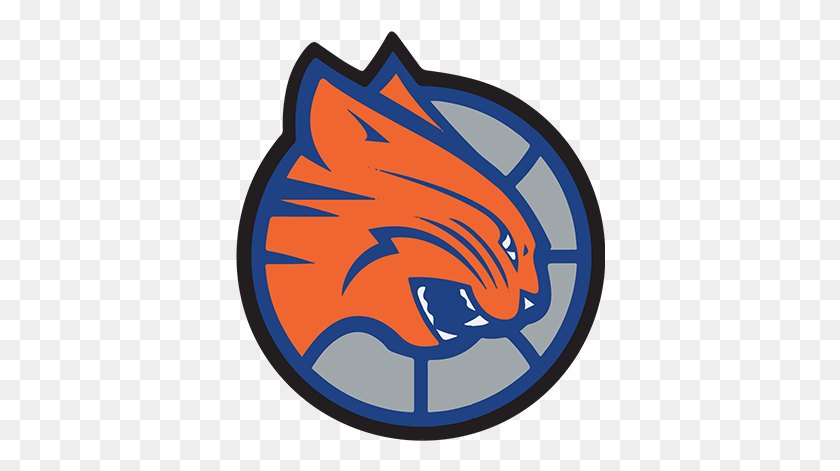 370x411 Charlotte Bobcats Alt Logo, Symbol, Trademark, Graphics HD PNG Download