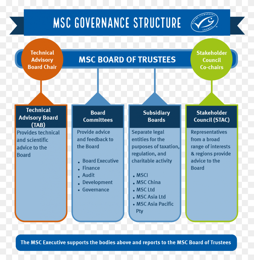 991x1015 Chart Of Msc Governance Structure Board Governance Structure, Text, Flyer, Poster HD PNG Download
