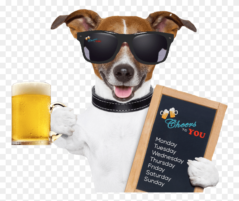 762x645 Cheers Dog, Sunglasses, Accessories, Accessory HD PNG Download