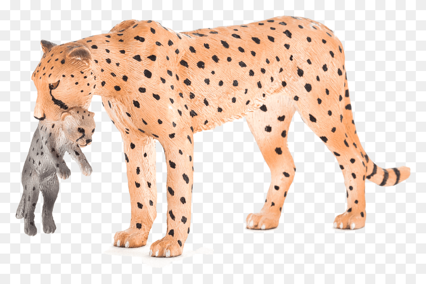 2066x1327 Cheetah, Wildlife, Mammal, Animal HD PNG Download
