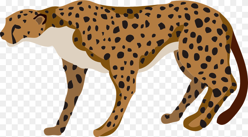 1920x1059 Cheetah Animal Clipart, Mammal, Wildlife, Panther Sticker PNG