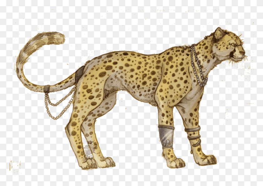 1024x703 Cheetah Anime Cheetahs, Wildlife, Mammal, Animal HD PNG Download