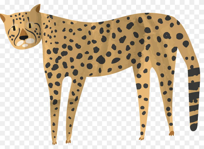 1920x1406 Cheetah Animal, Mammal, Wildlife, Panther Clipart PNG