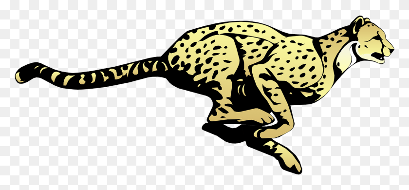 1281x543 Cheetah Running Speed Animal Image Fast Cheetah Clipart, Dragon, Wildlife, Amphibian HD PNG Download