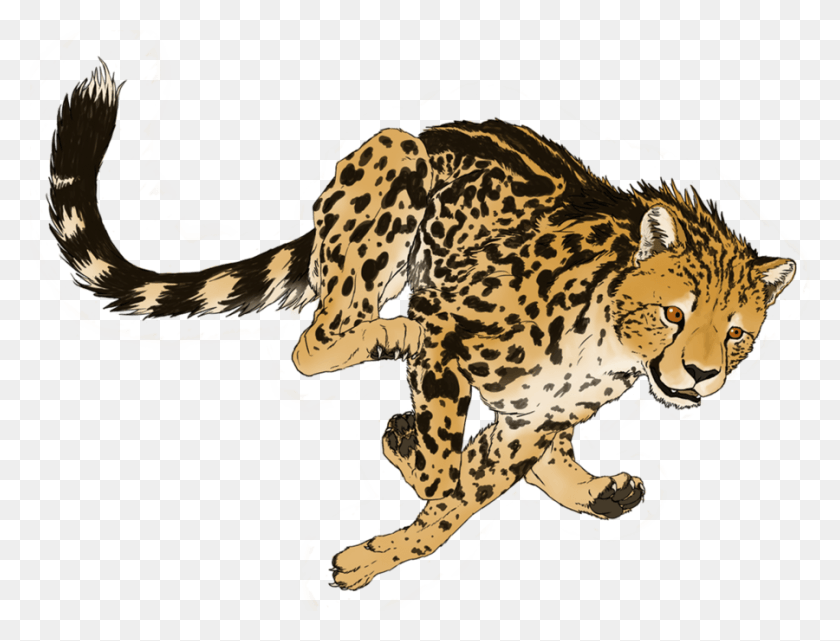 900x671 Cheetah Transparent, Wildlife, Animal, Mammal HD PNG Download