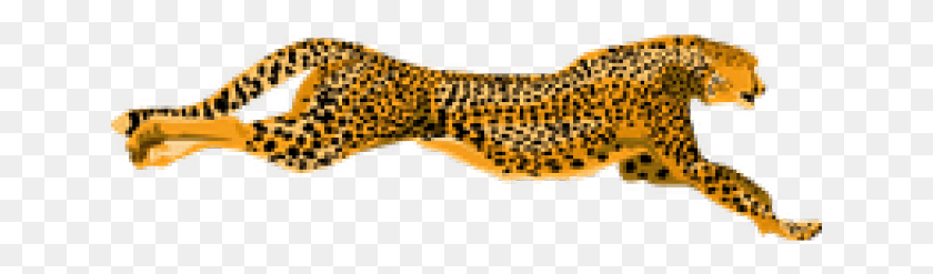 641x187 Cheetah Transparent Images Cheetah Clip Art, Animal, Fish, Eel HD PNG Download