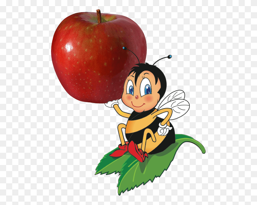 507x611 Descargar Png Chelan Fresh Blog Graphic Royalty Free Sugar Bee Manzanas, Apple, Fruta, Planta Hd Png