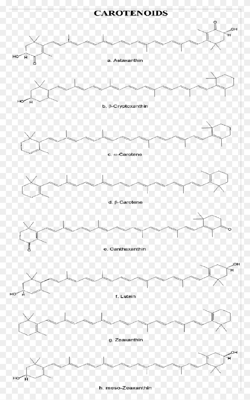 792x1301 Chemical Structure Of The Main Carotenoids Found In Handwriting, Text, Plot HD PNG Download