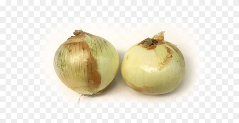 948x455 Chemistry Of Onion Pungency Development Yellow Onion, Plant, Vegetable, Food HD PNG Download