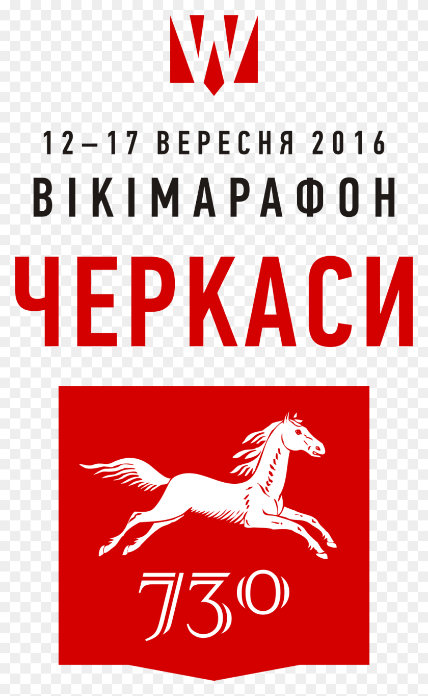 1024x1713 Черкасский Викимарафон 2 Жеребец, Лошадь, Млекопитающее, Животное Hd Png Скачать